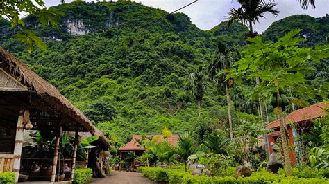 The Best Viet Hai Village Travel Guide Origin Vietnam