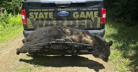 Pa Game Commission Seeking Information Related To Killing Of Black