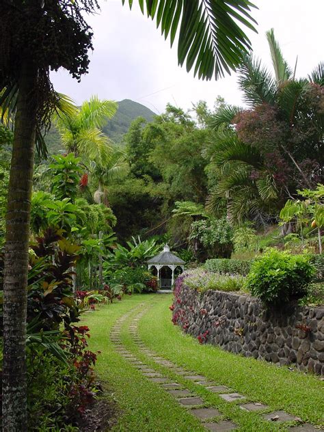 The Tropical Gardens Of Maui Tropicalgardensofmaui Com Flickr