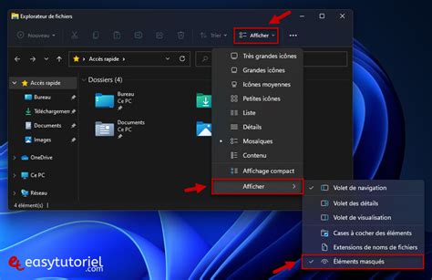 Comment Afficher Les Fichiers Cachés Sur Windows 11 Easytutoriel Vrogue