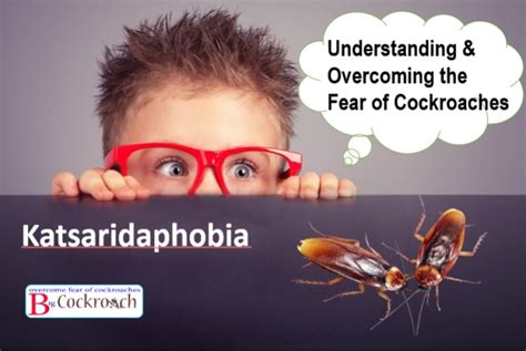 katsaridaphobia understanding and overcoming the fear of cockroaches overcome fear of