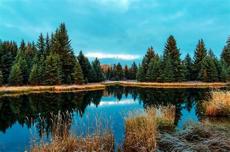 Free Picture Water Wilderness Woods Blue Sky Conifer Country