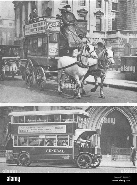 London Early And Stages Development Of Ubiquitous Omnibus Bus Horses