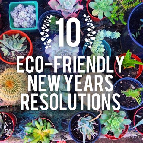 10 Eco Friendly New Year Resolutions Sustainable Daisy