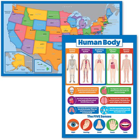 2 Pack Usa Map For Kids Understanding The Human Body
