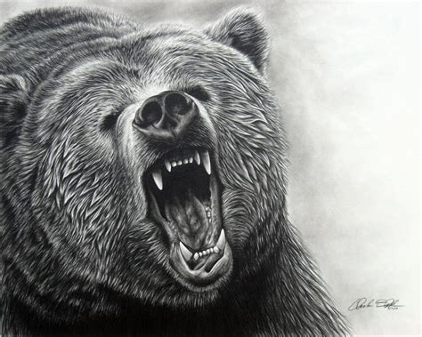 These animal drawing tutorials will help you get a basic understanding of how to draw various if you are looking for great tutorials that can help you hone you're drawing skills then the animal drawing. Amazing Animal Drawings From Great Pencils | Grizzly bear drawing, Realistic animal drawings ...