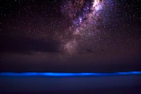 Rare View Of The Ocean Glowing Blue Against The Milky Way Gizmodo