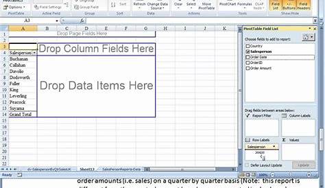 Pivot Table Reports - dvi Quarterly Sales By Salesperson By Country