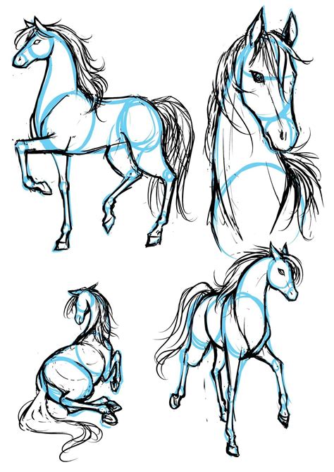 How To Draw Mangahorses Horse Drawings Animal Drawings Animal