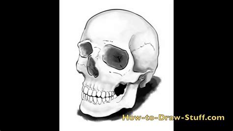 How To Draw Skulls Youtube Documentride5
