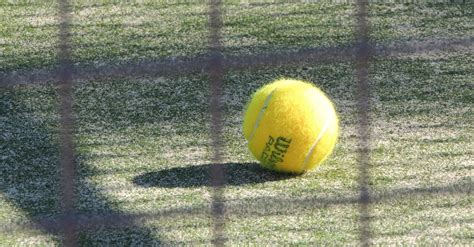 Tennis Ball In Green Grass During Daytime · Free Stock Photo