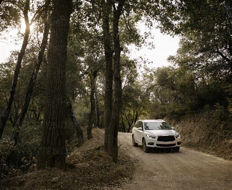 Car Driving Through Forest In Big Sur Stock Photo