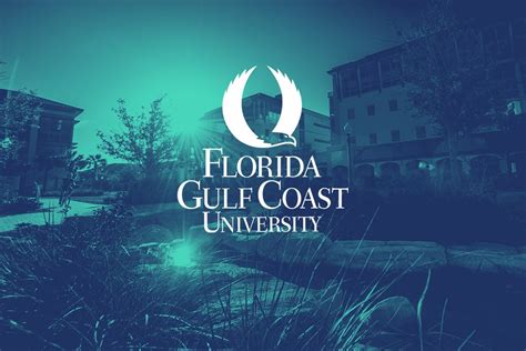 Florida Gulf Coast University — Stinghouse Creative