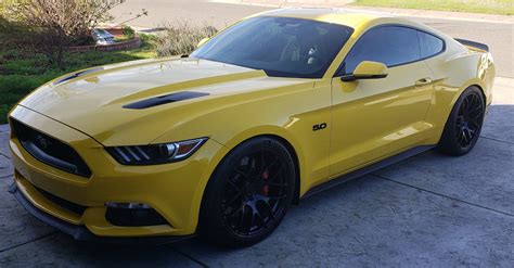 Black And Yellow 2015 S550 Mustang Forum Gt Ecoboost Gt350 Gt500