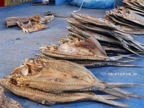 Terbaru ikan asin kakap putih masak balado 250gram level pedas bisa request, rp68.000. Belanja Ikan Kareng dan Ikan Asin di Ujong Blang - Triptofun