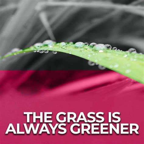 The Grass Is Always Greener Attract Opportunities Right Where You Are