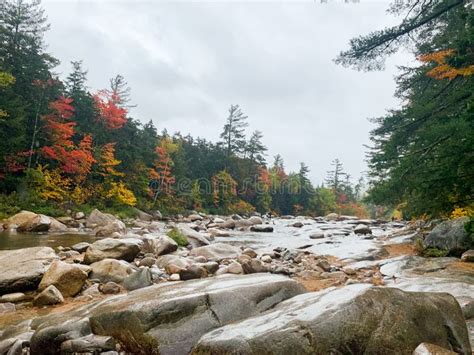 Beautiful River In The Forest Of The Mount Willard New Hampshire On A