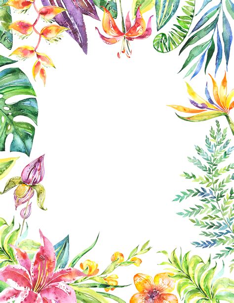 Watercolor Tropical Frames Clipart Tropical Border Png Palm Etsy My