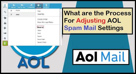 What Are The Process For Adjusting Aol Spam Mail Settings Email