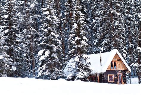 Pioneer guest cabins crested butte co. Crested Butte Cabins - Pioneer Guest Cabins