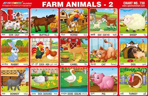Top 157 Farm Animals Chart