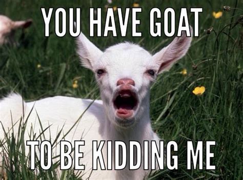 Goat Puns Goatpuns On Twitter