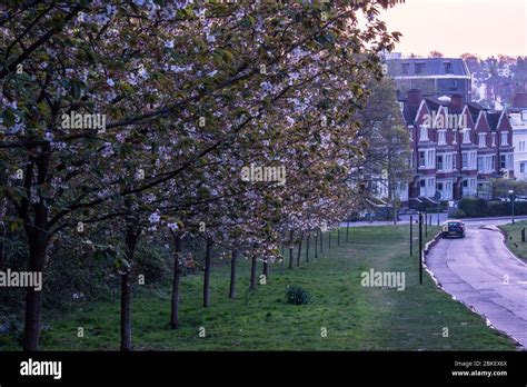 Royal Tunbridge Wells Common Taken At Sunrise On A Spring Morning In