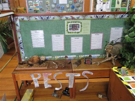 Taranaki Enviroschools Spotswood Primary Students Showcase Learning