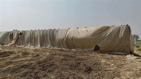 Low Cost Silage Bunkerpit Construction Silage Bunker Construction