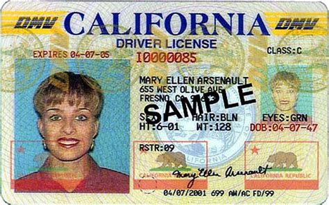 Not Male Or Female Calif Drivers License May Add New Nonbinary Option