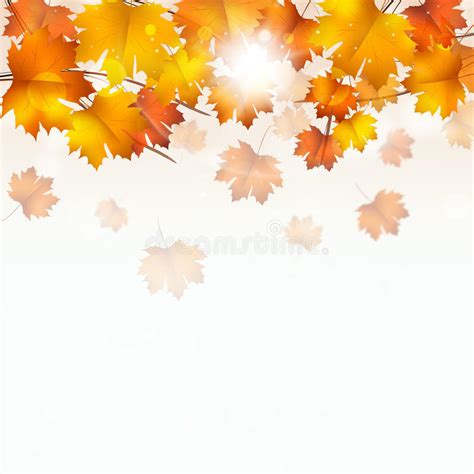 Autumn Yellow Leaves On White Background Stock Illustration