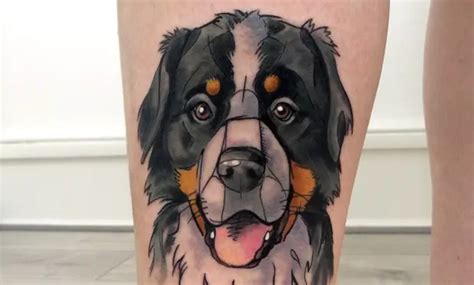 The 14 Most Gorgeous Bernese Mountain Dog Tattoo Ideas The Paws