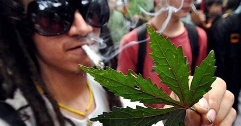 Proyecto De Legalización De La Marihuana Recreativa Avanza Pero Con Dudas El Sol News