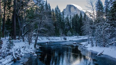 Download 2560x1440 Snow River Winter Forest Mountain Reflection