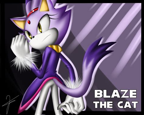 Blaze Blaze The Cat Photo 24646775 Fanpop