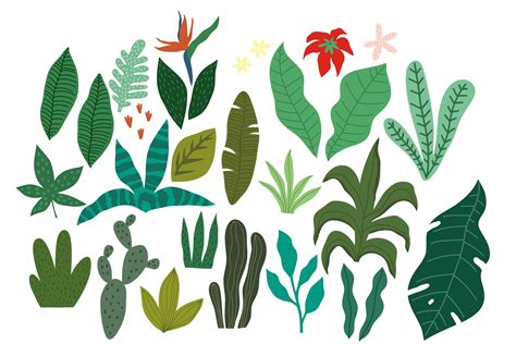 Tropical Leaves, pattern, prints | Plant illustration, Tropical leaves, Graphic design fun