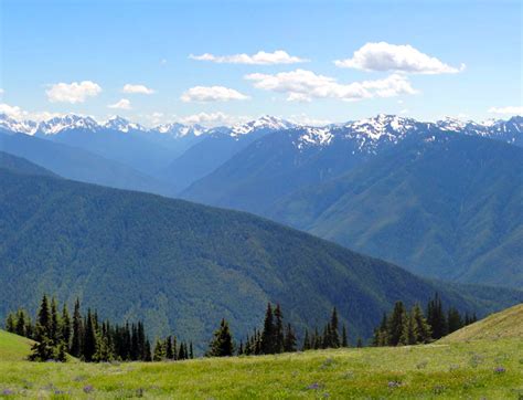 These Are The Best Hiking Trails To Take Near Sequim Washington