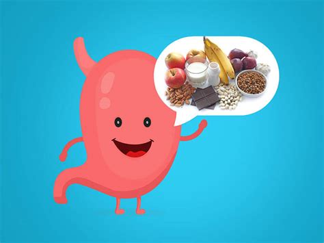 The 8 probiotic rich foods your gut needs Probiotic Foods: Which Probiotic Foods Help To Have A ...