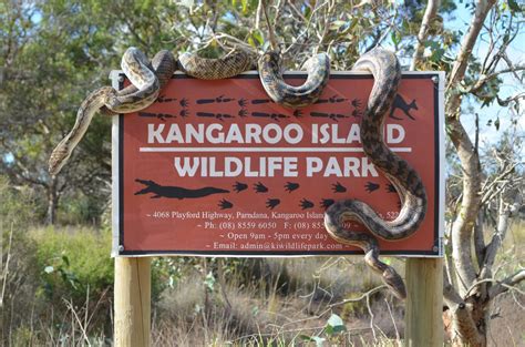 Timeline Photos Kangaroo Island Wildlife Park Kangaroo Island