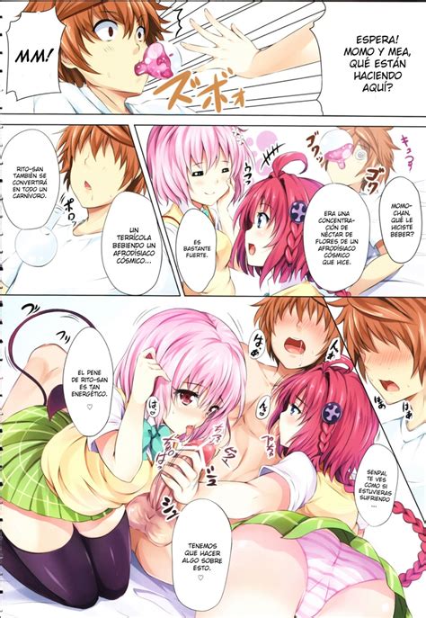 To Love Ru Party