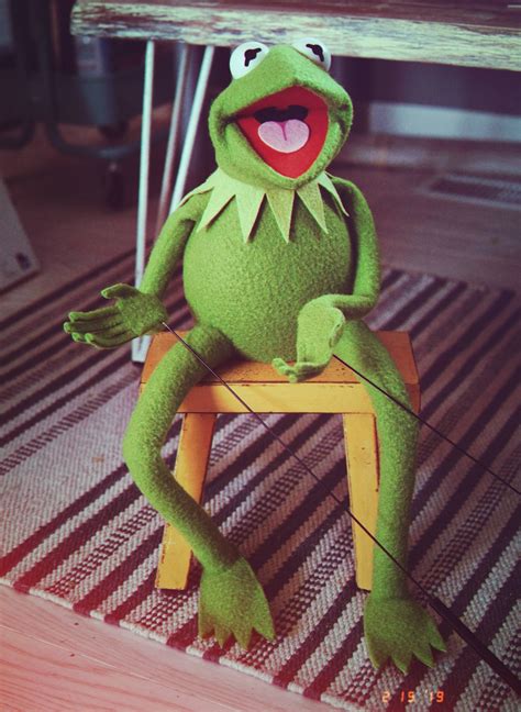 Ecls Kermit The Frog Puppet Replica Using My Newest