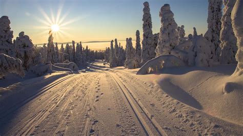 Lapland Winter Wonderland Backiee