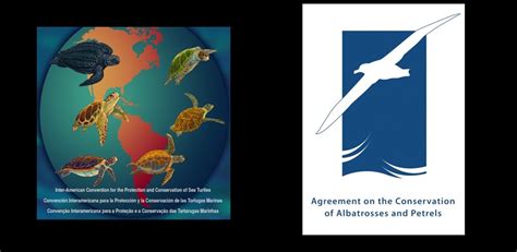 Agreement On The Conservation Of Albatrosses And Petrels Acap And The