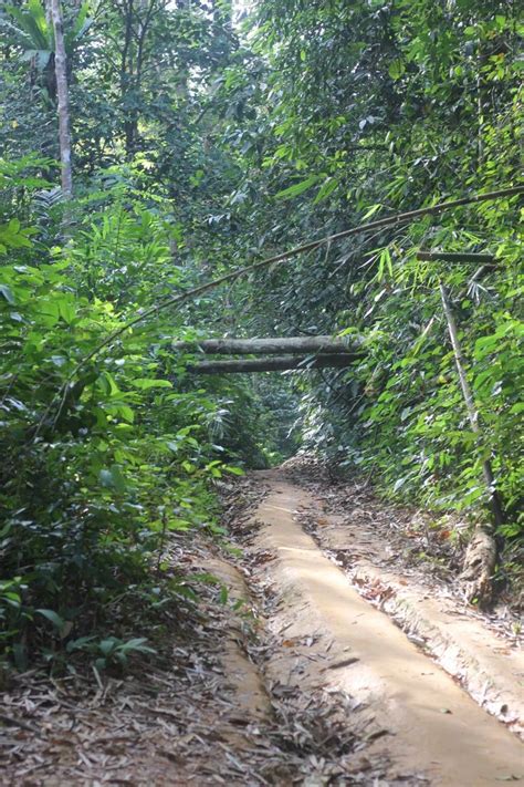 Due to the lack of transportation to fraser's hill, there are not that many visitors compared to the more developed resorts such as berjaya hills, genting highlands and. Our Hiking Trip To Kuala Kubu Bharu Jungle - Travel ...