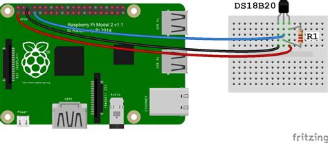 raspberry pi dsb temperature sensor tutorial circuit basics