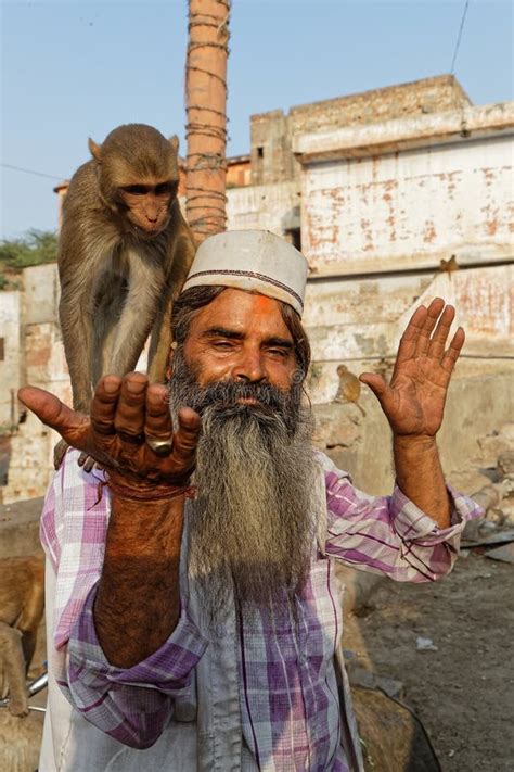 The Man Who Feeds The Monkeys Editorial Image Image Of Hands Feeds