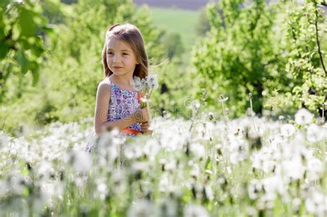 Dandelion Field White Girl Beautiful Happy Little Baby Green Meadow