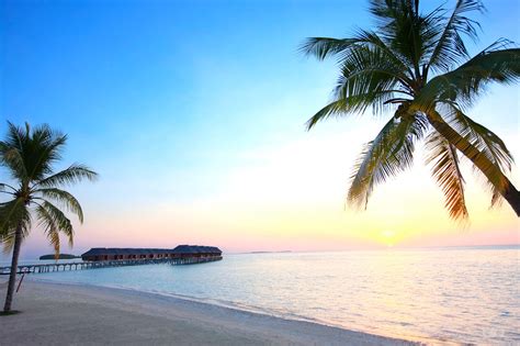 Top 5 Honeymoon Destinations In The Maldives Alpha