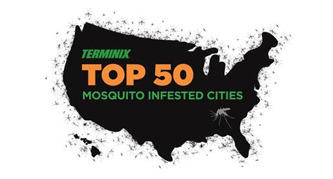 On World Mosquito Day Terminix® Reveals Its Top 50 Mosquito Cities