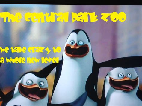 Central Park Zoo Advertisement Penguins Of Madagascar Photo 23118693